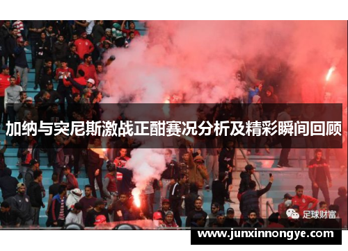 加纳与突尼斯激战正酣赛况分析及精彩瞬间回顾