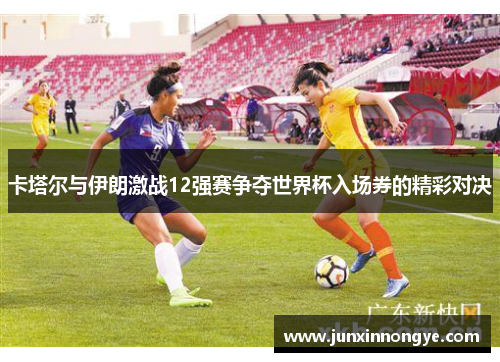 卡塔尔与伊朗激战12强赛争夺世界杯入场券的精彩对决