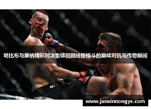 哈比布与康纳精彩对决集锦回顾终极格斗的巅峰对抗与传奇瞬间