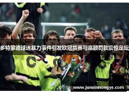 多特蒙德球迷暴力事件引发欧冠禁赛与高额罚款震惊足坛