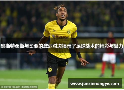 奥斯特桑斯与柔亚的激烈对决揭示了足球战术的精彩与魅力