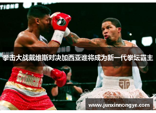 拳击大战戴维斯对决加西亚谁将成为新一代拳坛霸主