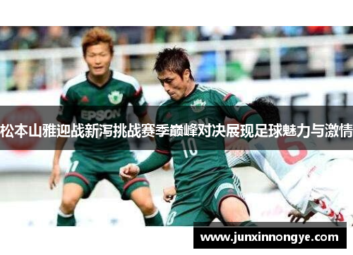 松本山雅迎战新泻挑战赛季巅峰对决展现足球魅力与激情